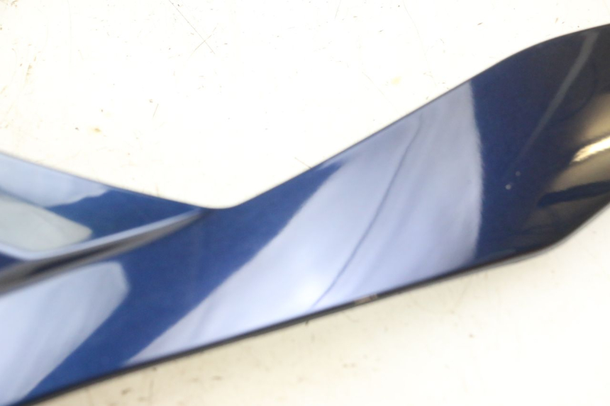 photo de FRONTVERKLEIDUNG OBEN PIAGGIO MP3 RL 250 (2006 - 2010) - Zoom auf Gebrauchszustand