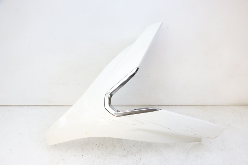 photo de OBERES VORDERTEIL PEUGEOT SATELIS 125 (2010 - 2012) - Hauptansicht