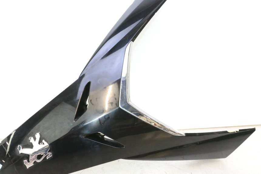 photo de FRONTVERKLEIDUNG OBEN PEUGEOT SATELIS 125 (2006 - 2009) - Alternative Perspektive