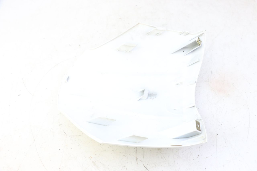 photo de FRONTVERKLEIDUNG OBEN PEUGEOT TWEET PRO CARGO 50 (2018 - 2022) - Zoom auf Gebrauchszustand