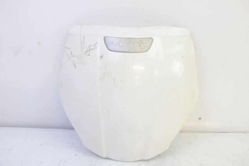 photo de FRONTVERKLEIDUNG OBEN PEUGEOT TWEET PRO EFI 4T 50 (2021 - 2022) - Hauptansicht