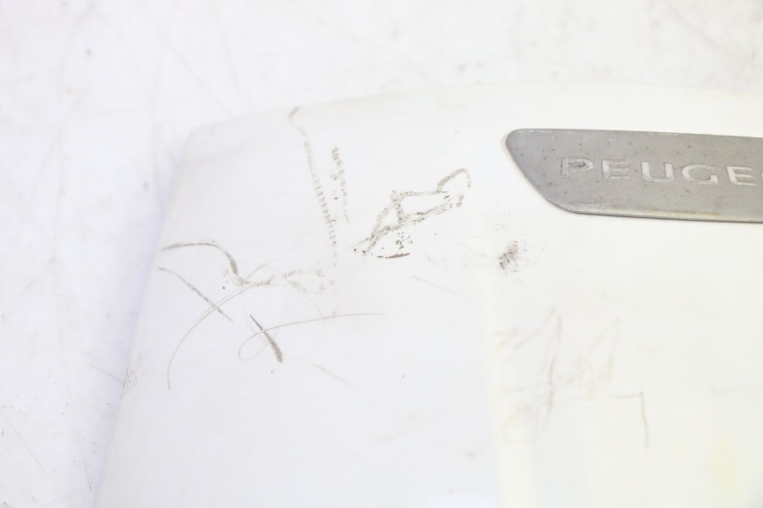 photo de FRONTVERKLEIDUNG OBEN PEUGEOT TWEET PRO EFI 4T 50 (2021 - 2022) - Zoom auf Gebrauchszustand