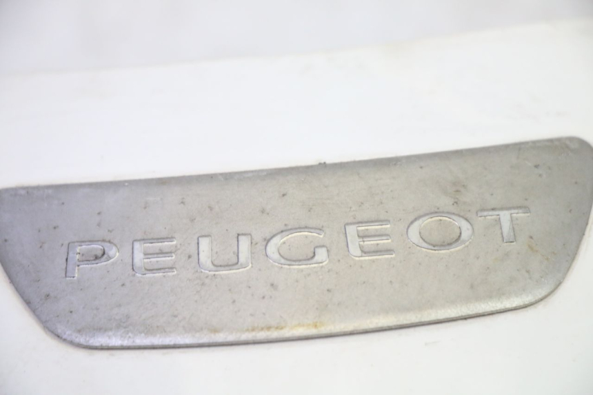 photo de FRONTVERKLEIDUNG OBEN PEUGEOT TWEET PRO EFI 4T 50 (2021 - 2022) - Alternative Perspektive