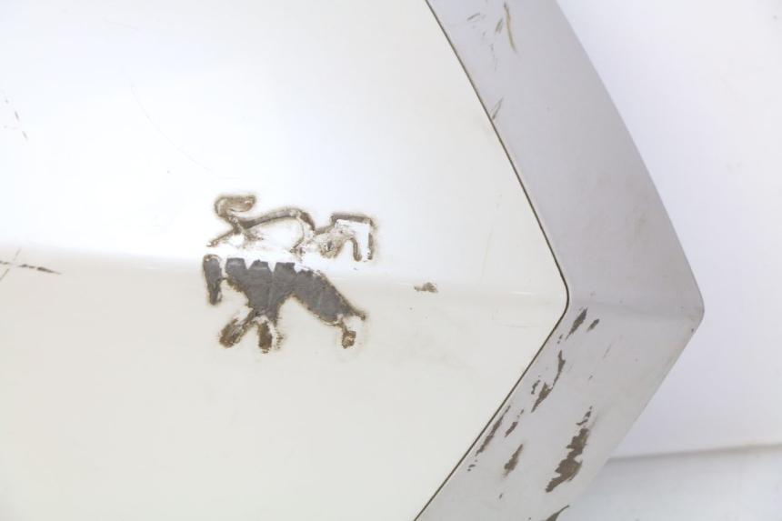 photo de OBERE VORDERSEITE PEUGEOT VIVACITY NEW 2T 50 (2008 - 2017) - Weitere Ansicht des Artikels