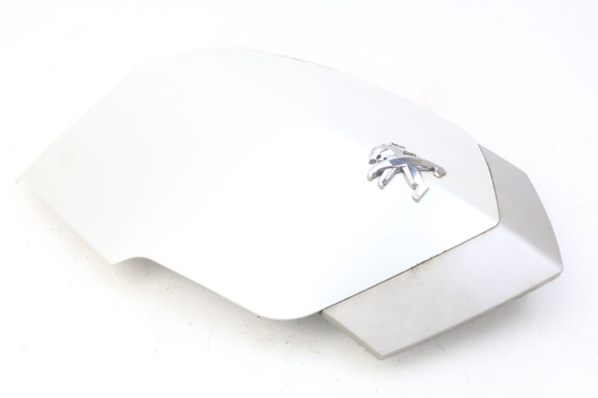 photo de OBERES VORDERTEIL PEUGEOT VIVACITY NEW 4T 50 (2008 - 2017) - Gesamtansicht des Produkts