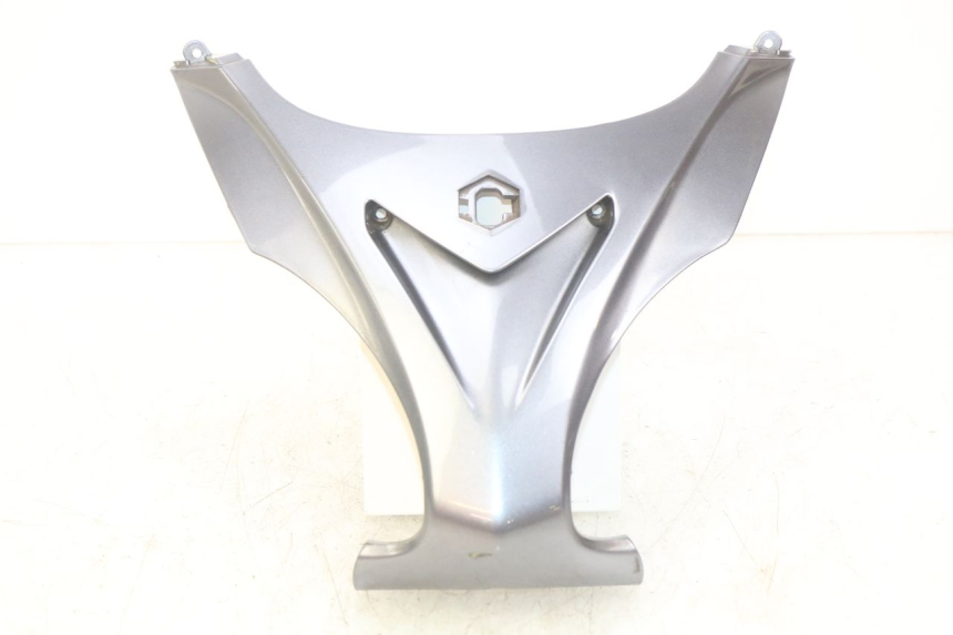 photo de OBERES VORDERTEIL PIAGGIO X9 EVOLUTION 250 (2003 - 2007) - Hauptansicht