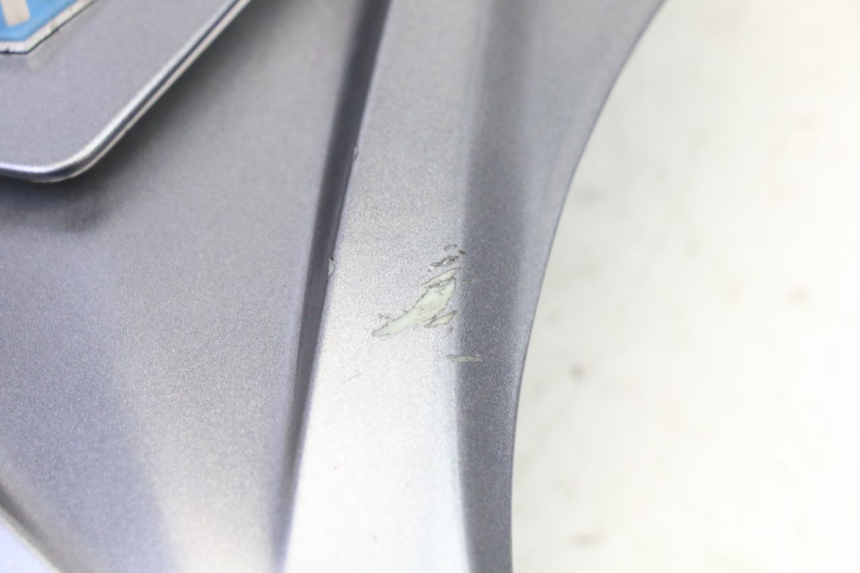 photo de OBERES VORDERTEIL PIAGGIO X9 EVOLUTION 125 (2003 - 2007) - Alternative Perspektive