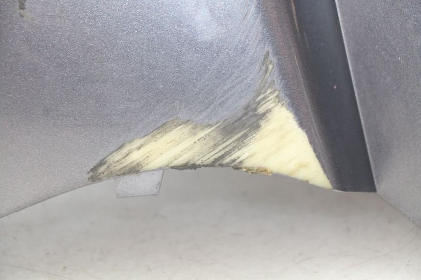 photo de VORDERSEITE PIAGGIO X9 EVOLUTION 250 (2003 - 2007) - Charakteristische Merkmale