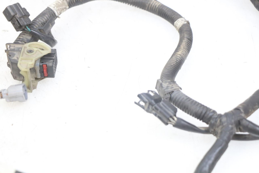 photo de KABELBAUM KYMCO AGILITY 16+ 4T 50 (2018 - 2023) - Gesamtansicht des Produkts