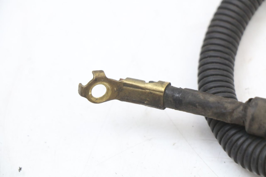 photo de BATTERIEKABELBAUM SUZUKI BURGMAN 125 (2007 - 2014) - Alternative Perspektive