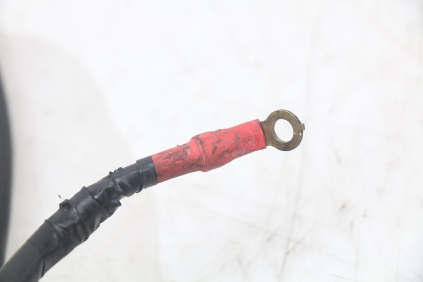 photo de BATTERIEKABELBAUM YAMAHA XMAX X-MAX ABS 125 (2017 - 2020) - Zoom auf Gebrauchszustand