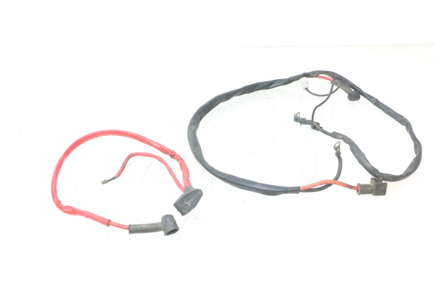 photo de BATTERIEKABELBAUM YAMAHA YP MAJESTY 125 (2002 - 2006) - Hauptansicht