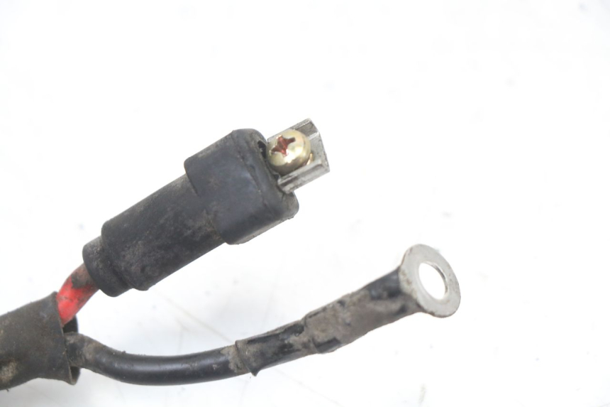 photo de BATTERIE KABELBAUM  PIAGGIO ZIP 2T 50 (2009 - 2019) - Detailansicht des Bauteils