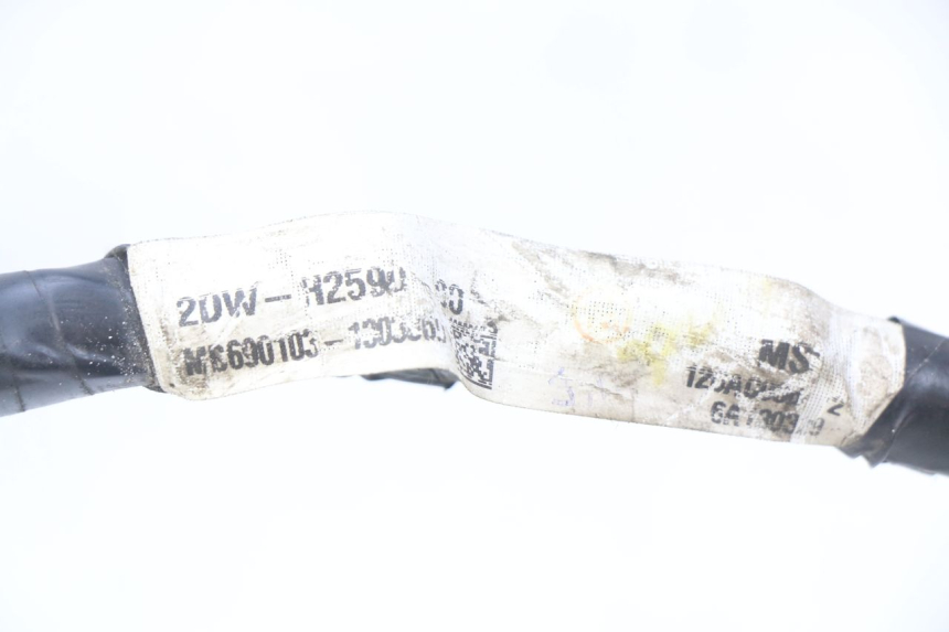 photo de KABELBAUM YAMAHA BW'S EASY 50 (2013 - 2016) - Zoom auf Gebrauchszustand