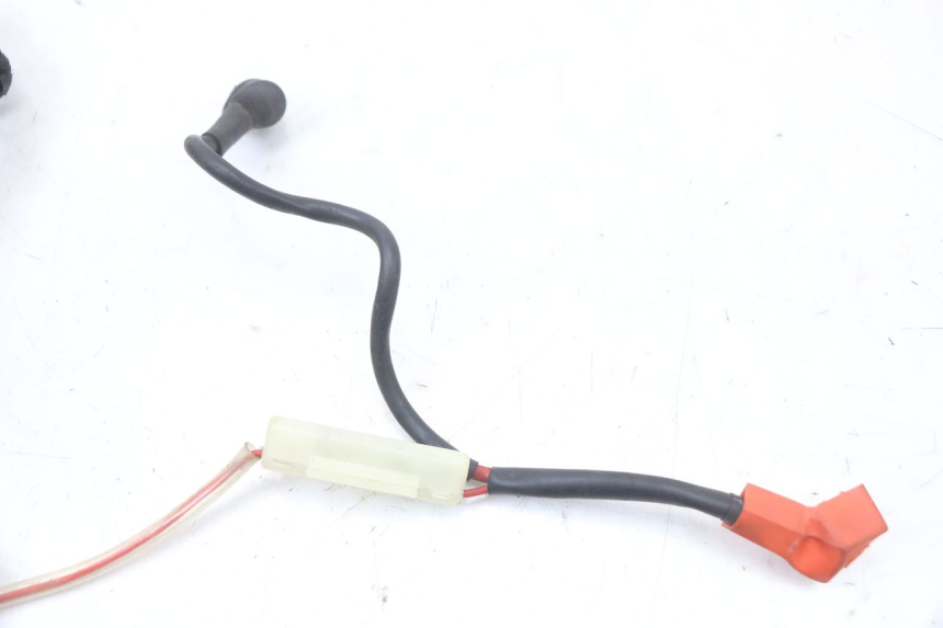 photo de KABELBAUM ARCHIVE CAFE RACER 4T 50 (2019 - 2024) - Details der Befestigungspunkte