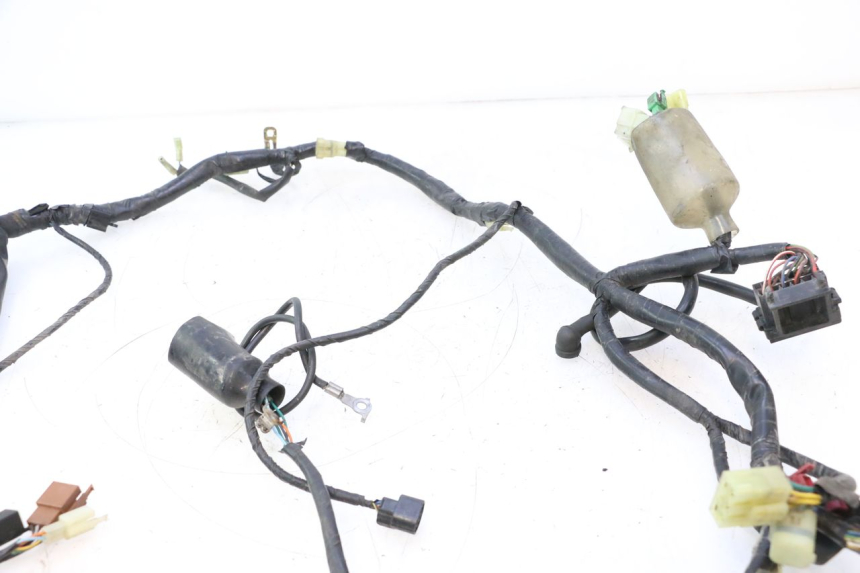 photo de KABELBAUM HONDA CB F HORNET 600 (2005 - 2006) - Detailansicht des Bauteils