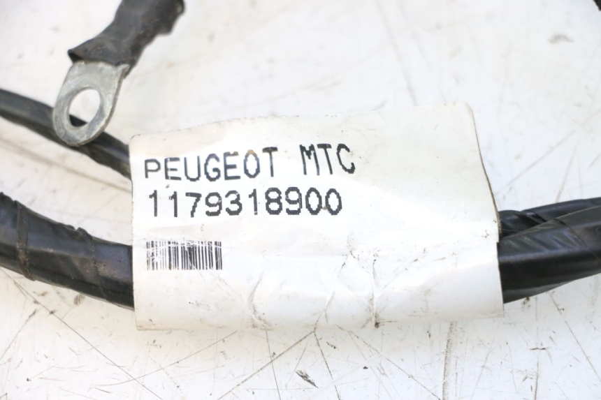 photo de KABELBAUM PEUGEOT CITYSTAR 2T 50 (2018 - 2021) - Alternative Perspektive
