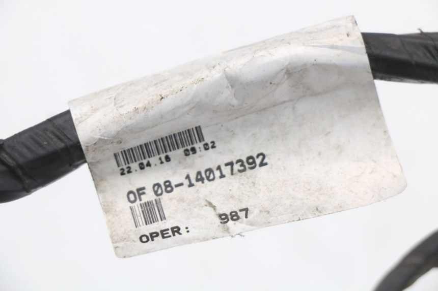 photo de KABELBAUM PEUGEOT CITYSTAR 50 (2013 - 2017) - Zoom auf Gebrauchszustand