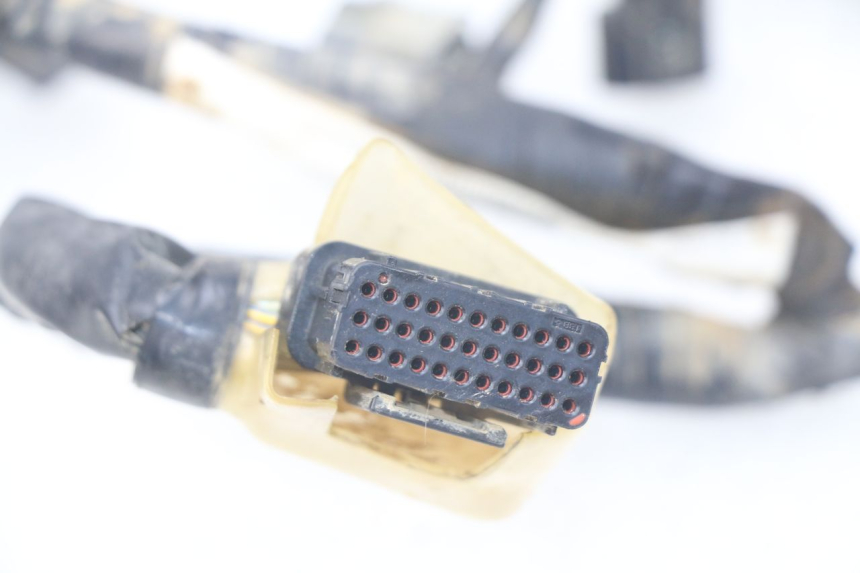 photo de KABELBAUM HONDA CRF 250 (2013 - 2016) - Technische Nahaufnahme