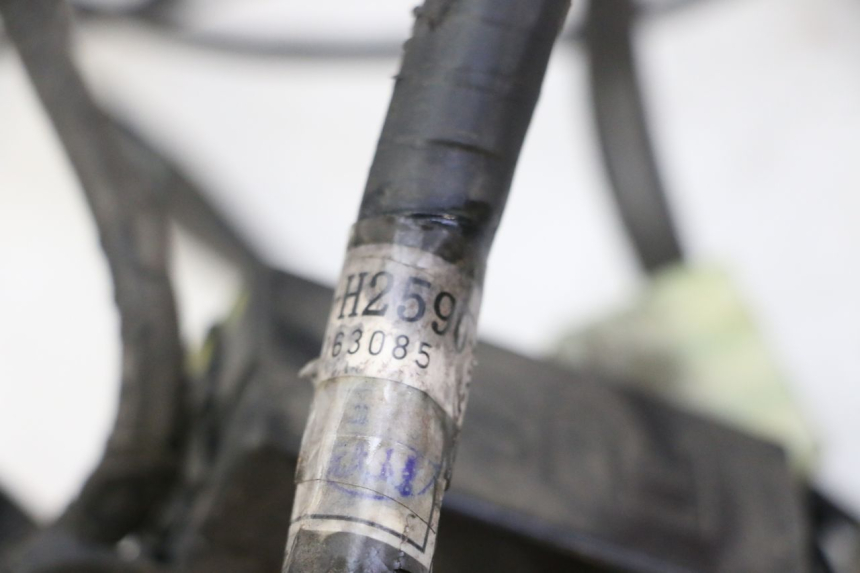 photo de KABELBAUM YAMAHA CYGNUS X INJECTION 125 (2007 - 2013) - Zoom auf Gebrauchszustand