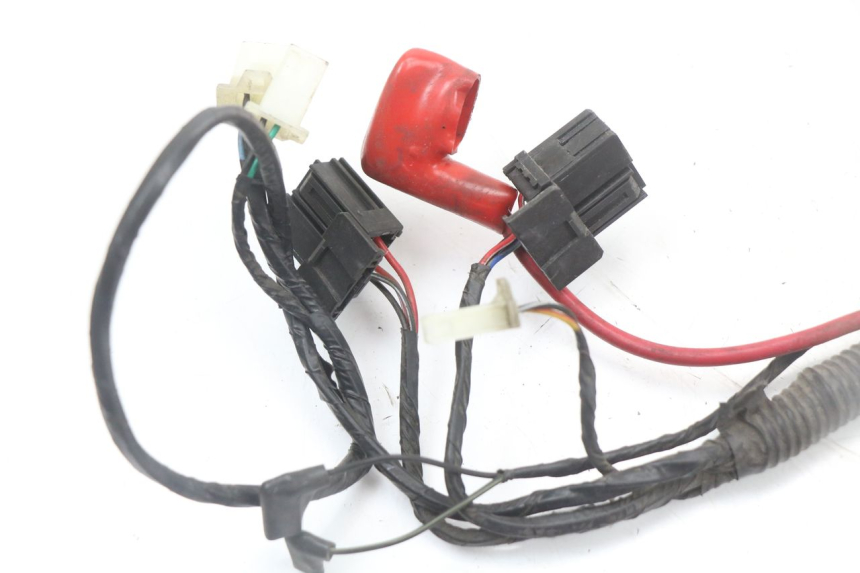 photo de KABELBAUM LONGJIA EASY MAX 125 (2020 - 2024) - Zoom auf Komponenten