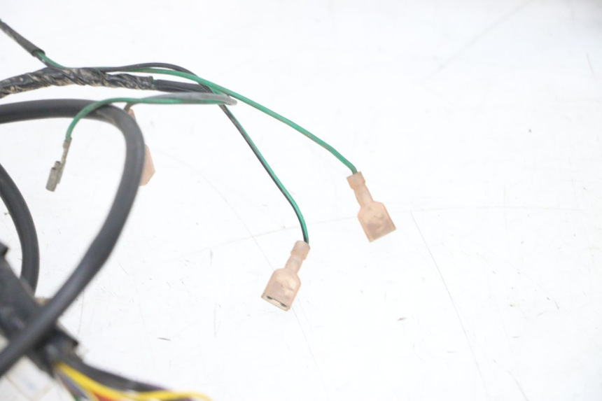 photo de KABELBAUM PEUGEOT ELYSEO 125 (1999 - 2004) - Hochauflösende Nahaufnahme