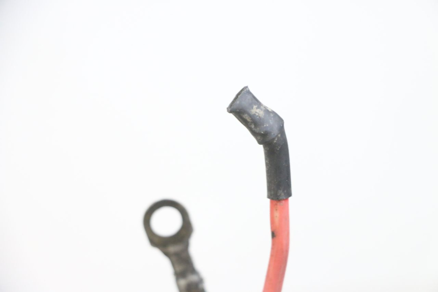 photo de KABELBAUM PEUGEOT ELYSEO 125 (1999 - 2004) - Alternative Perspektive