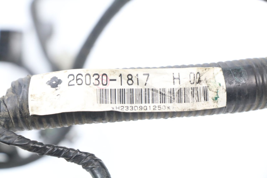 photo de KABELBAUM KAWASAKI ER5 ER-5 500 (2001 - 2004) - Detailansicht des Bauteils