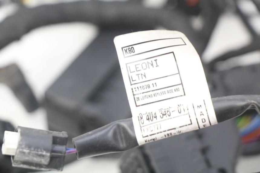 photo de KABELBAUM BMW F GS K81 850 (2018 - 2023) - Detailansicht des Bauteils