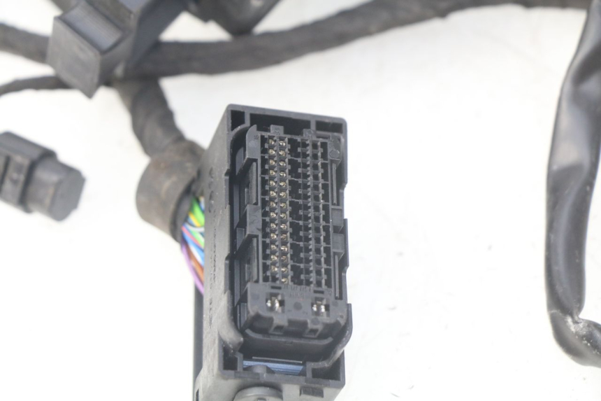 photo de KABELBAUM BMW F GS K81 850 (2018 - 2023) - Gesamtansicht des Produkts