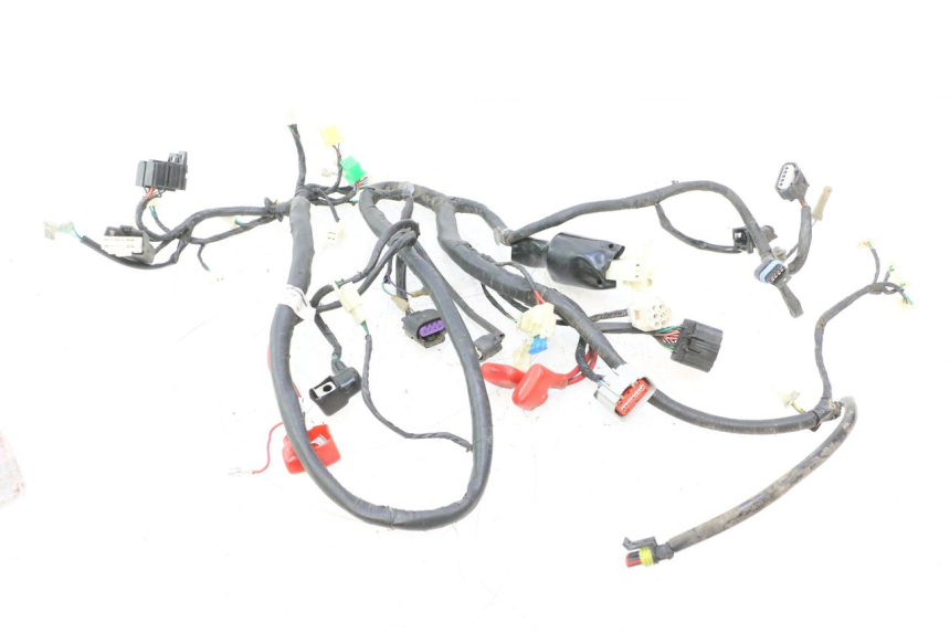 photo de KABELBAUM JM MOTORS F45i 4T 50 (2020 - 2023) - Hauptansicht