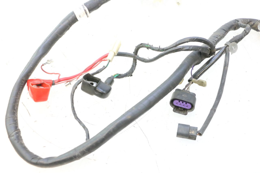 photo de KABELBAUM JM MOTORS F45i 4T 50 (2020 - 2023) - Alternative Perspektive