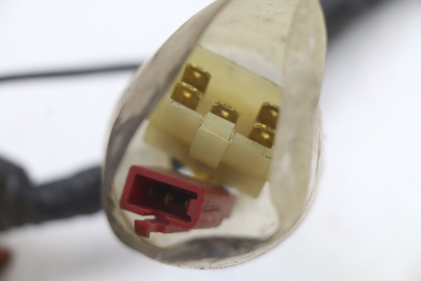 photo de KABELBAUM HONDA FES PANTHEON 2T 125 (1998 - 2002) - Kennzeichnungen und Originalreferenzen