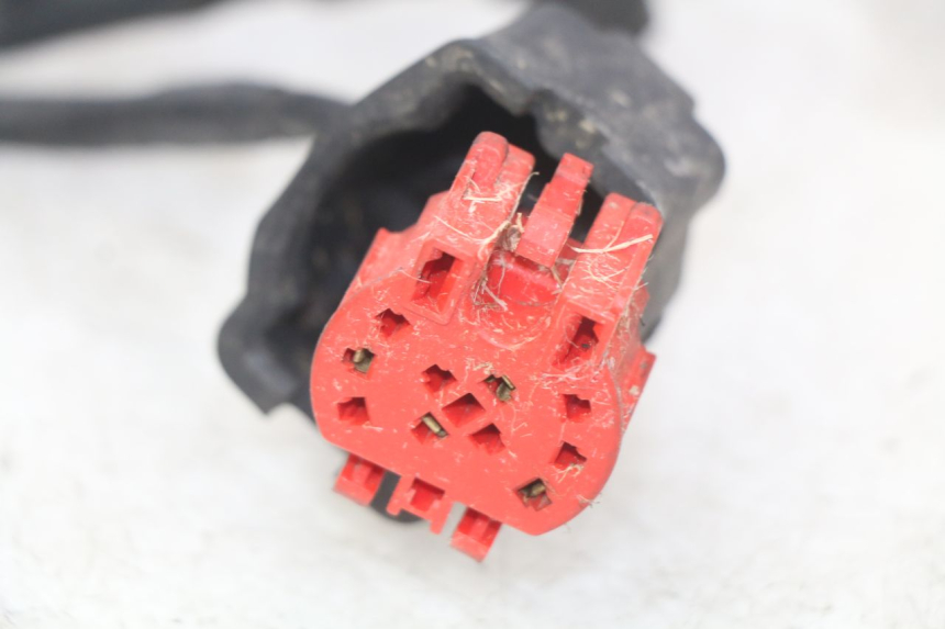 photo de KABELBAUM HONDA FES PANTHEON 125 (2003 - 2007) - Hochauflösende Nahaufnahme