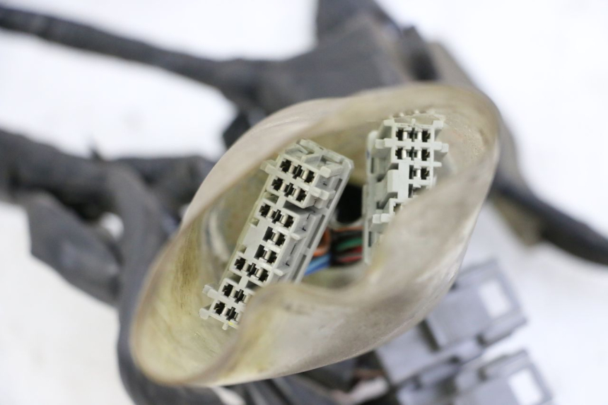 photo de KABELBAUM HONDA FORZA ABS 300 (2013 - 2017) - Technische Nahaufnahme