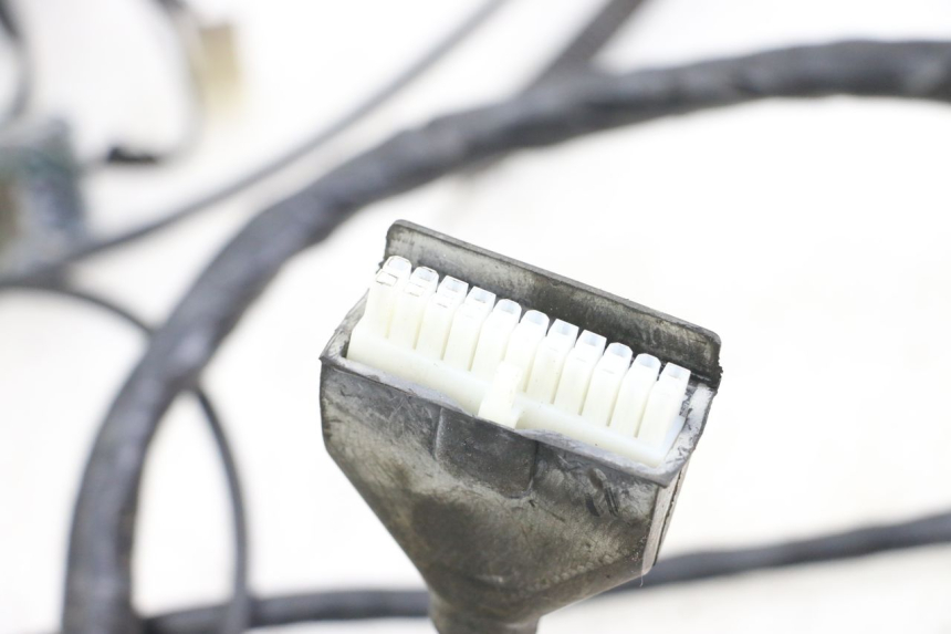 photo de KABELBAUM PEUGEOT GEOPOLIS RS 125 (2007 - 2009) - Zoom auf Gebrauchszustand