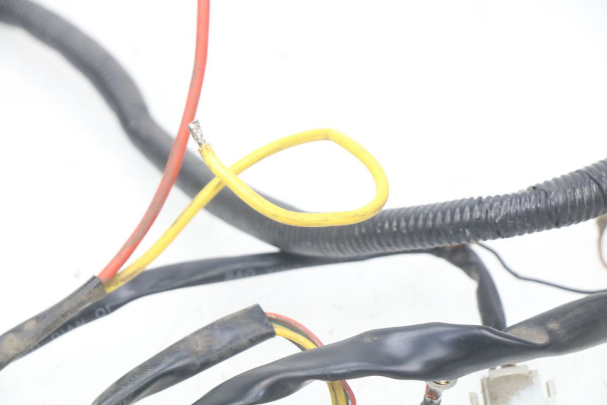 photo de KABELBAUM EUROCKA GREEN 1 - Alternative Perspektive