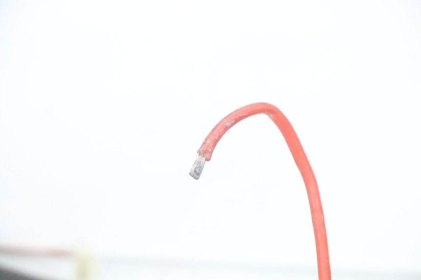 photo de KABELBAUM EUROCKA GREEN 1 - Technische Nahaufnahme