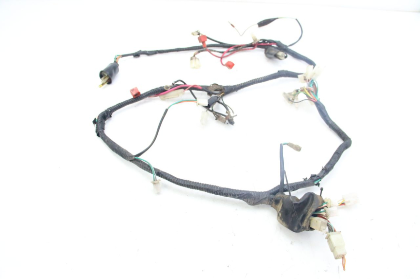 photo de KABELBAUM TNT MOTOR GRIDO 2T 50 (2010 - 2019) - Hauptansicht