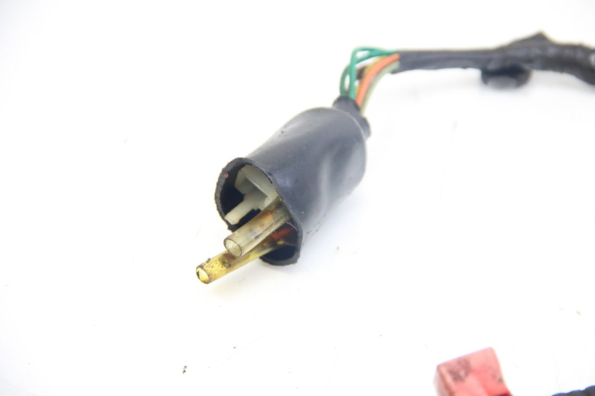 photo de KABELBAUM TNT MOTOR GRIDO 2T 50 (2010 - 2019) - Details der Befestigungspunkte