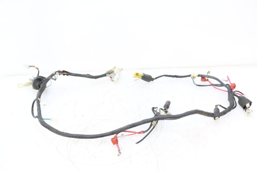 photo de KABELBAUM TNT MOTOR GRIDO 2T 50 (2010 - 2019) - Alternative Perspektive