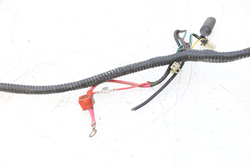photo de KABELBAUM TNT MOTOR GRIDO 2T 50 (2010 - 2019) - Technische Nahaufnahme