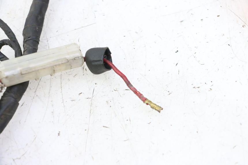 photo de KABELBAUM DAELIM HISTORY 125 (2001 - 2002) - Alternative Perspektive