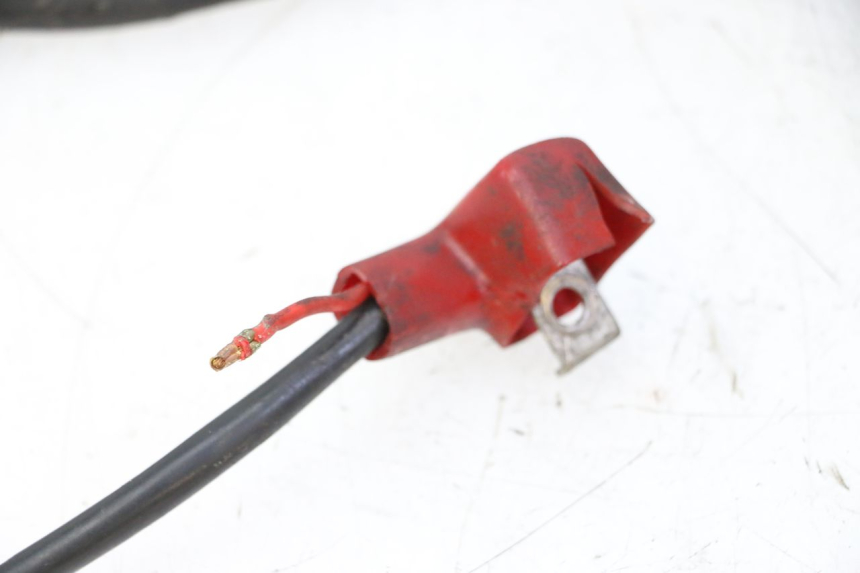 photo de KABELBAUM DAELIM HISTORY 125 (2001 - 2002) - Gesamtansicht des Produkts