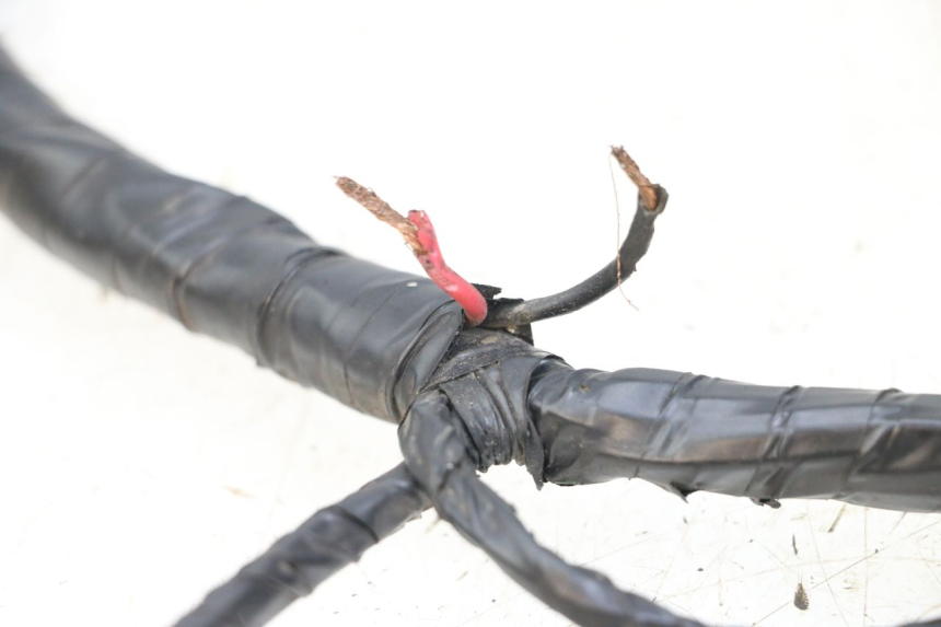 photo de KABELBAUM PEUGEOT KISBEE 2T 50 (2018 - 2022) - Geprüftes Gebrauchtteil