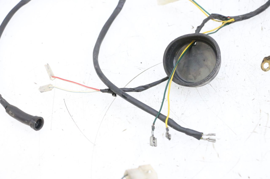 photo de KABELBAUM PEUGEOT LUDIX 50 (2005 - 2007) - Hochauflösende Nahaufnahme