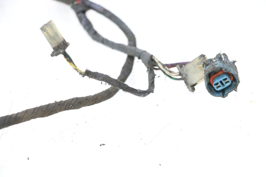 photo de KABELBAUM PEUGEOT LUDIX 50 (2005 - 2007) - Profilansicht des Ersatzteils