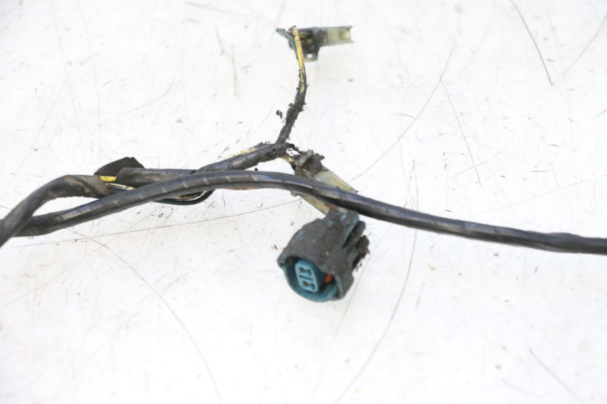 photo de KABELBAUM PEUGEOT LUDIX PRO 2T 50 (2010 - 2017) - Geprüftes Gebrauchtteil