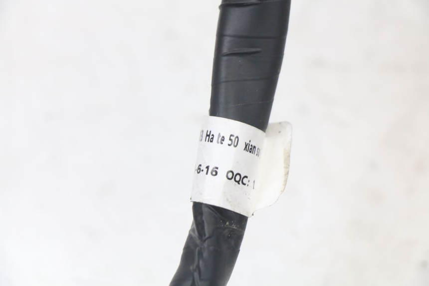 photo de KABELBAUM MASH LEGEND'R 4T 50 (2021 - 2025) - Alternative Perspektive