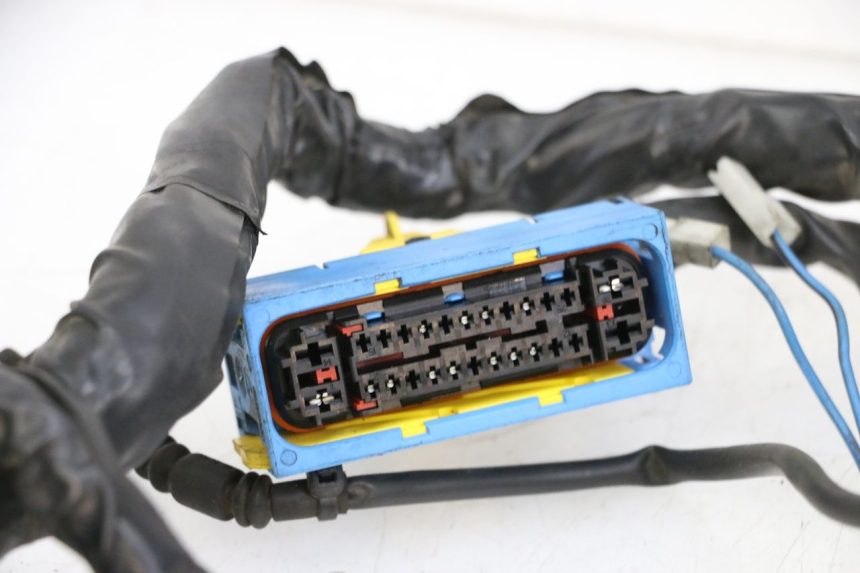 photo de KABELBAUM PIAGGIO MP3 HPE 350 (2018 - 2020) - Details der Befestigungspunkte